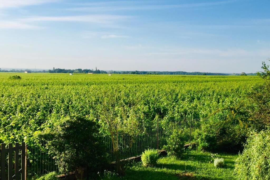 Appartement Avec Vue Sur Les Vignes A Gevrey Exteriör bild
